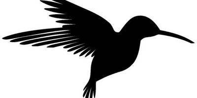 Животные 4039