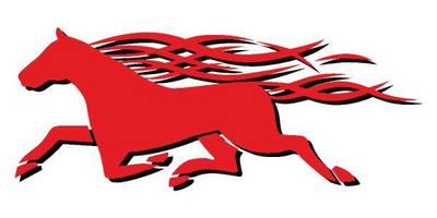 Виниловая наклейка на авто 539