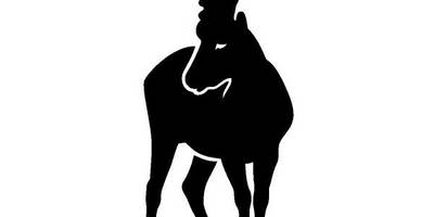 Животные 1437