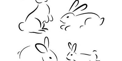 Животные 3541