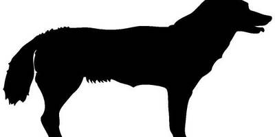 Животные 371