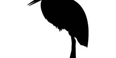 Животные 240