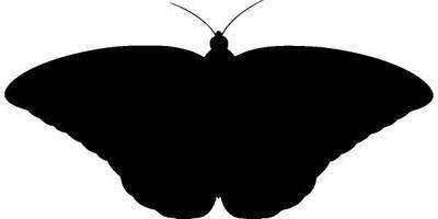 Животные 3378