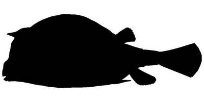 Животные 2750