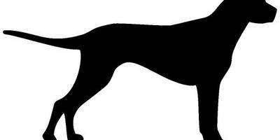 Животные 2258