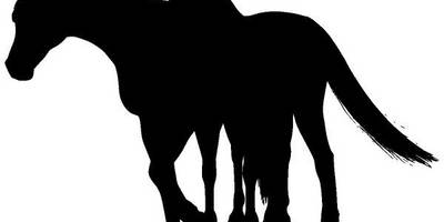 Животные 4011