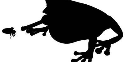 Животные 4094