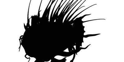 Животные 4165