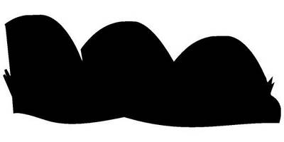 Животные 2513