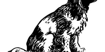 Животные 1299