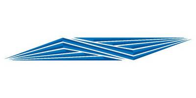 Виниловая наклейка на авто 231