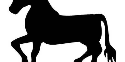 Животные 3682