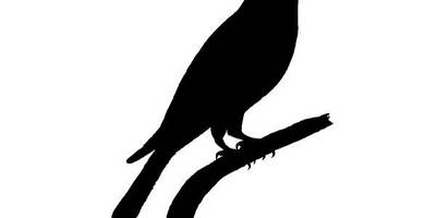 Животные 3242