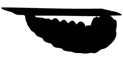 Животные 1548