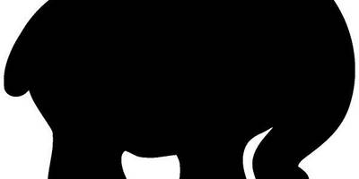 Животные 1671