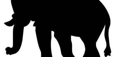 Животные 2431