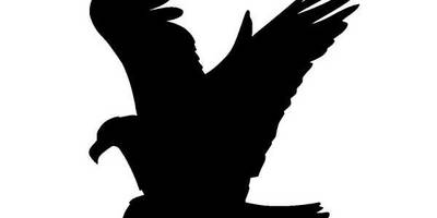 Животные 236