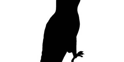 Животные 2779