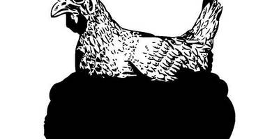 Животные 264