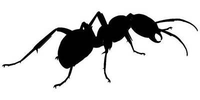 Животные 1272