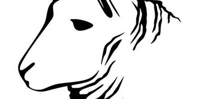 Животные 1241