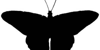 Животные 2274