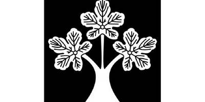 Японский узор 3197