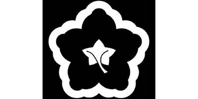 Японский узор 3284