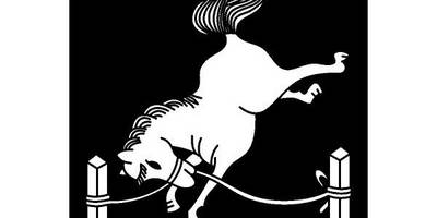 Японский узор 1660