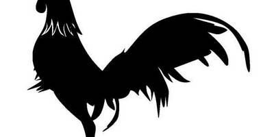 Животные 1110