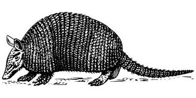 Животные 208