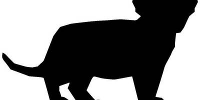 Животные 2863