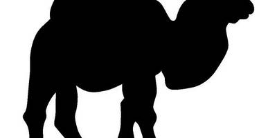 Животные 2473