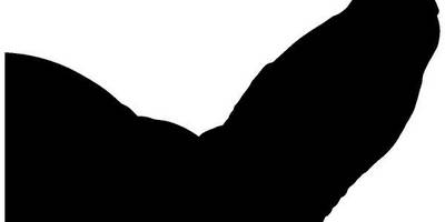 Животные 4176