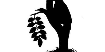 Животные 939