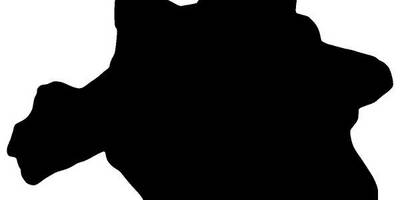 Животные 3072