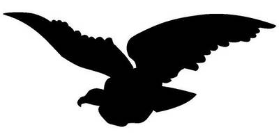 Животные 3629