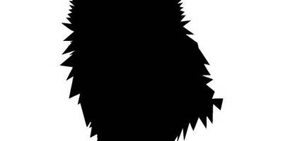 Животные 1553