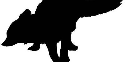 Животные 679