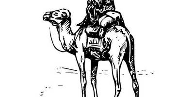 Животные 511