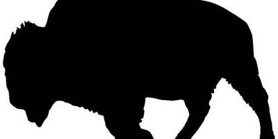 Животные 1343