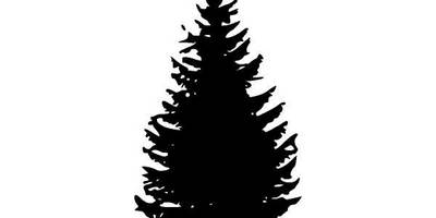 Дерево елка