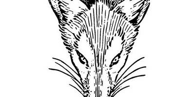 Животные 3897