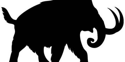 Животные 201