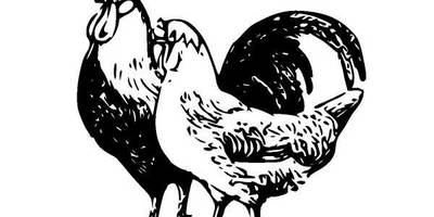 Животные 601