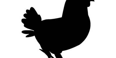 Животные 2072