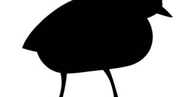 Животные 3374