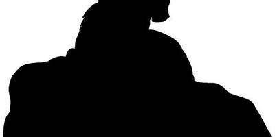 Животные 400