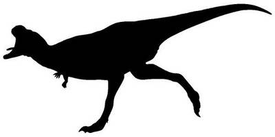 Животные 3030