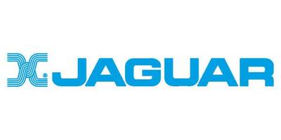 Jaguar logo2
